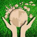 Sustentabilidade: um conceito que veio para ficar